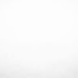 Meet your Posher, Ava